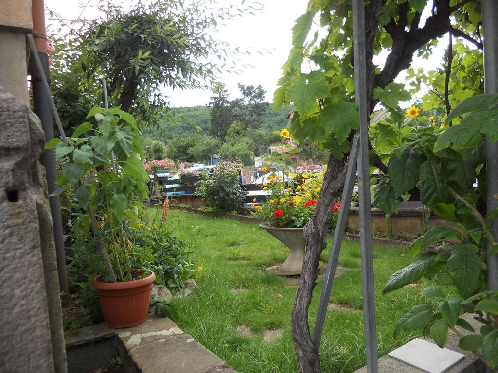 Rentz Martine Leilighet Riquewihr Rom bilde